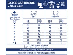 Gatos Castrados-Young Male 3,5 Kg