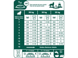 Golden Retriever Junior 12 Kg