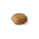 Golden Retriever Junior 1 Kg