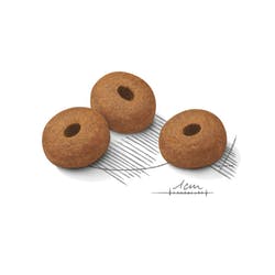 Medium Weight Care x 3kg