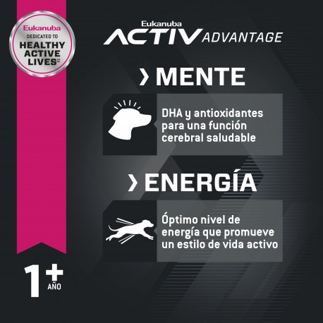 Eukanuba Adult Large Breed x 15 kg