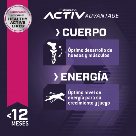 Eukanuba Puppy Large Breed 3 KG