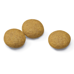 Medium Dermacomfort 15 Kg