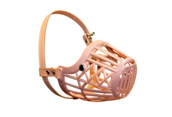 Bozal Canasta Alpha By Zeus 5 XL