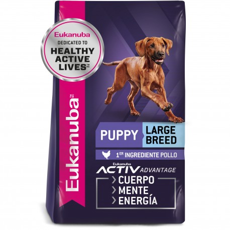 Eukanuba Puppy Large Breed 15 KG