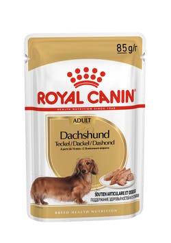 Royal Canin Alimento Húmedo Dachshund x 1,02grs