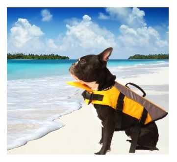 CHALECO SALVAVIDAS TALLE L 30 CM - PER-ROS