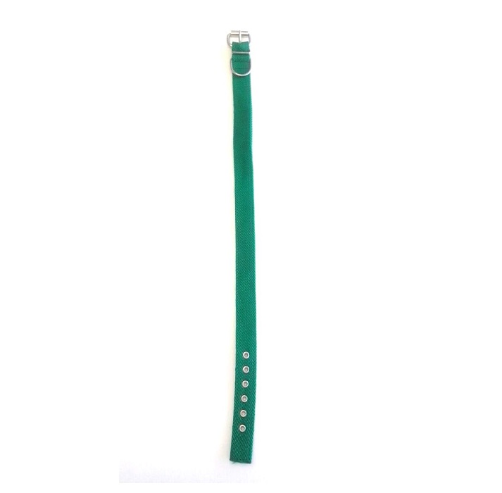 COLLAR DOBLE 30MM X 60CM - FAMILY PETS