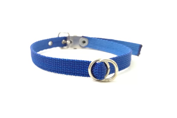 COLLAR GATO 31CMX10MM MISTER HUESO