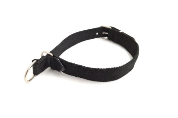 COLLAR NYLON SEMIAHORQUE MEDIO 52X3CM. MISTER HUESO