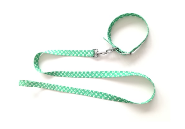 CONJ. COLLAR MEDIO 40CM. Y CORREA MEDIA 120CM. - MISTER HUESO