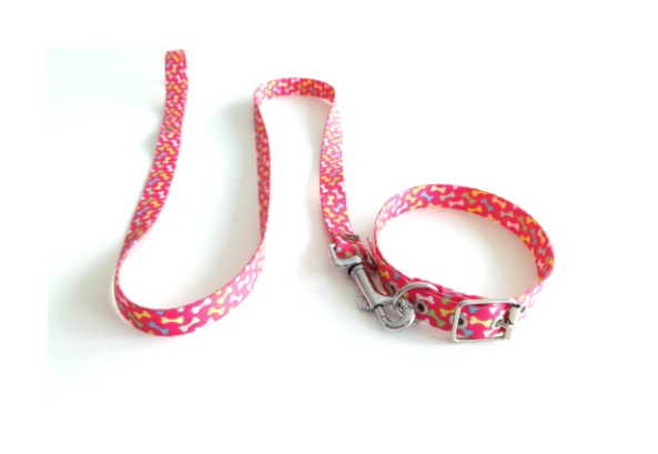 CONJ. COLLAR MEDIO 45CM. Y CORREA MEDIA 120CM. - MISTER HUESO