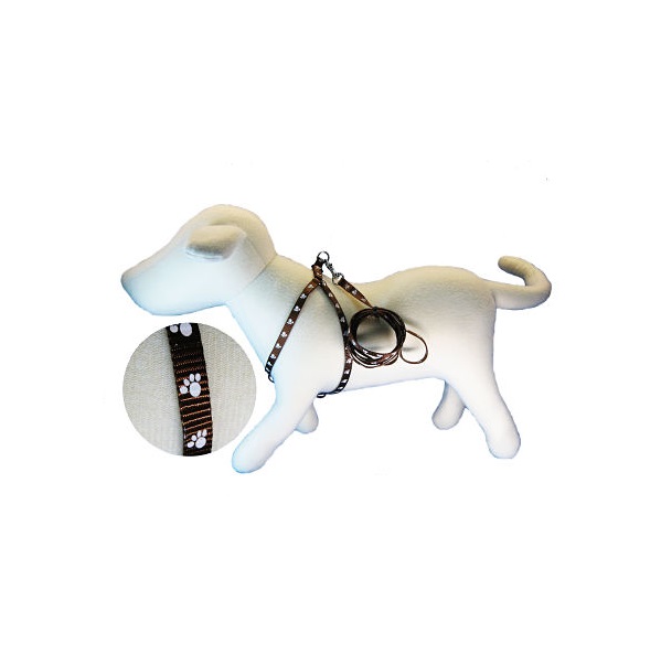 CONJ.CORREA/PRETAL PATITAS 20MMX120CM - MILLEX