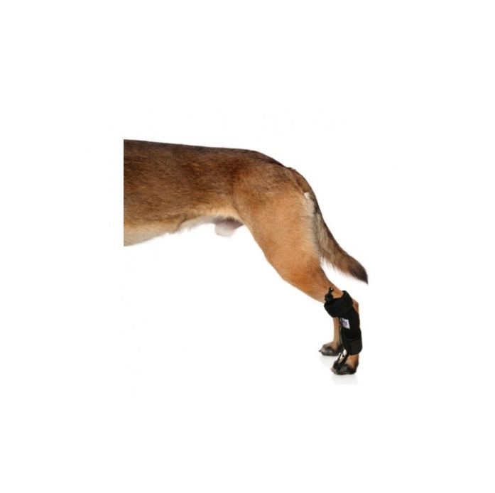 CORRECTOR PROPIOCEPTIVO GRANDE - PER-ROS