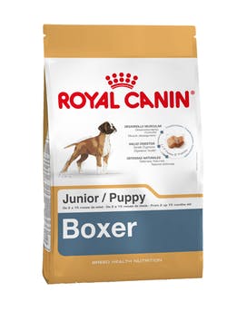 Boxer Junior 1 Kg