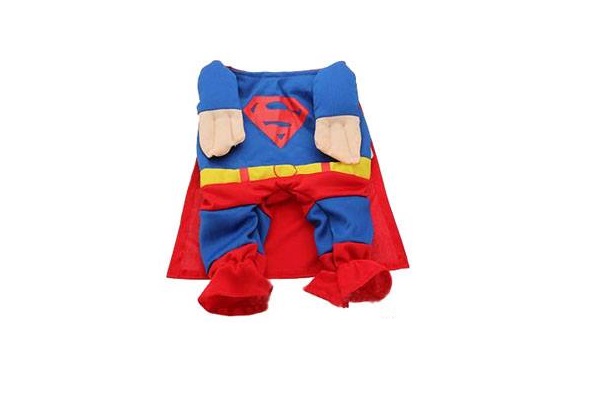 DISFRAZ SUPERMAN Nº1 25 CM. PER-ROS