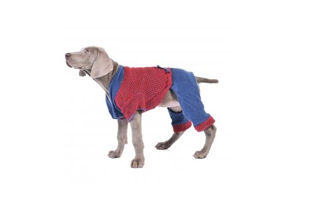 ENTERITO DE HILO  ELEGANCE TALLE 45 (5) PER-ROS