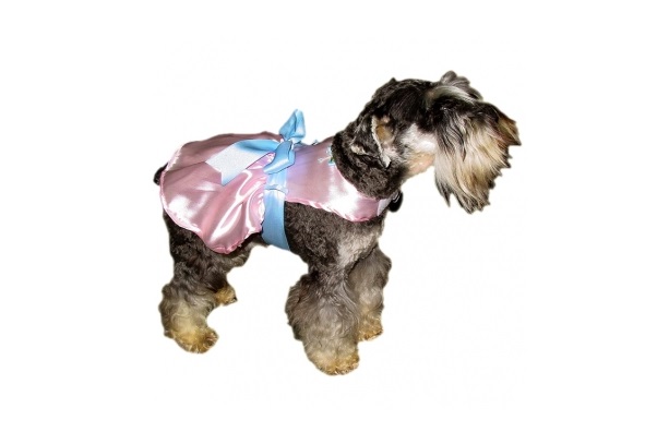 LINEA GLAMOUR FIESTA Nº2 30 CM. - PER-ROS