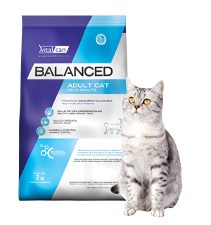 Vital Can Balanced Gato Adulto X 2 Kg.