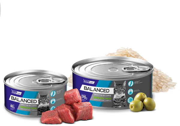 Vital Can Balanced Gato Orange Mix 170gr 