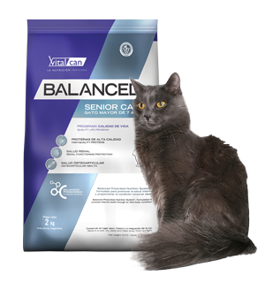 Vital Can Balanced Gato Senior X 7,5 Kg.