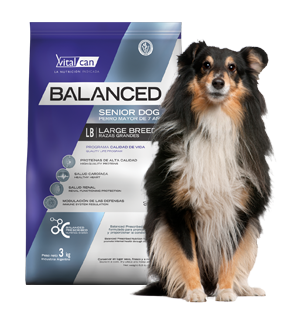 Vital Can Balanced Perro Senior Raza Grande X 15 Kg.