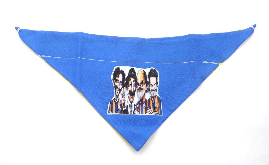 PAÑUELOS RC MEDIANOS - DM