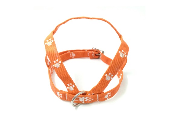 PRETAL CH. PROM ABDOM. PATITAS 40CM.X15 - MISTER HUESO