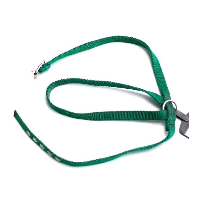 PRETAL INLGESES CHICO PROM ABD 53X15CM MISTER HUESO