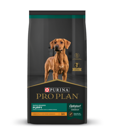Purina Pro Plan Puppy Large Breed 15kg