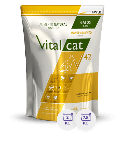 Vital Can V42 Indoor X 7,5 Kg.