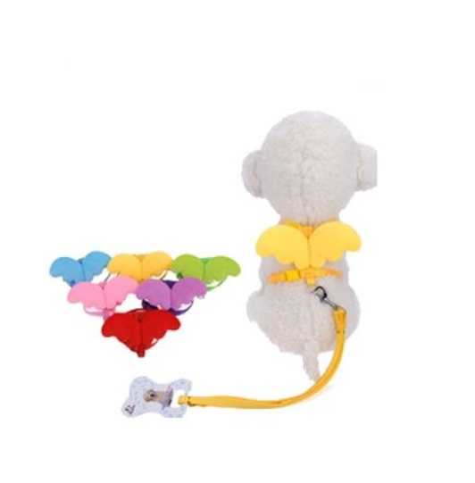 ARNES ALITAS ANGEL S - PER-ROS