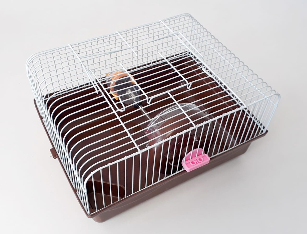 HAMSTERA 31X24X17 CM