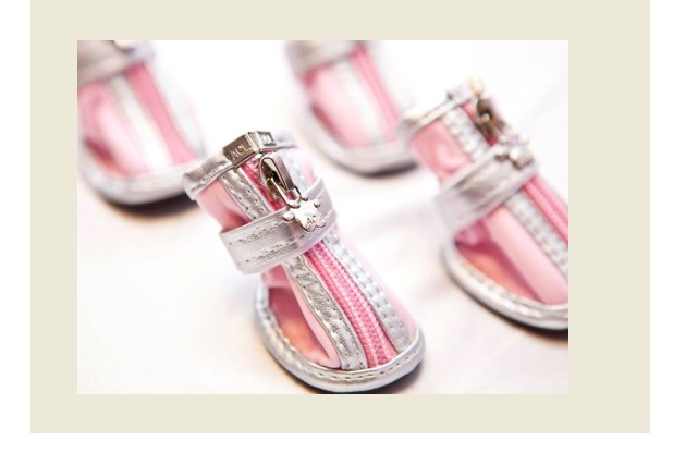 BOTAS ESPECIAL CON PATITAS Nº8 - PER-ROS