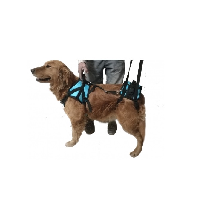 ORT. ARNES PARA ANTERIORES EXTRA LARGE - PER-ROS