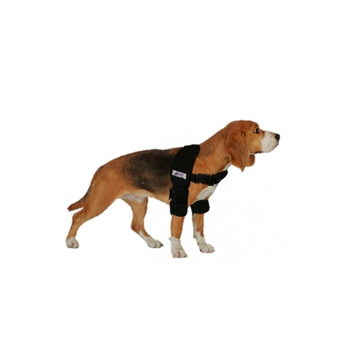 ORT. DE CODO GRANDE - PER-ROS