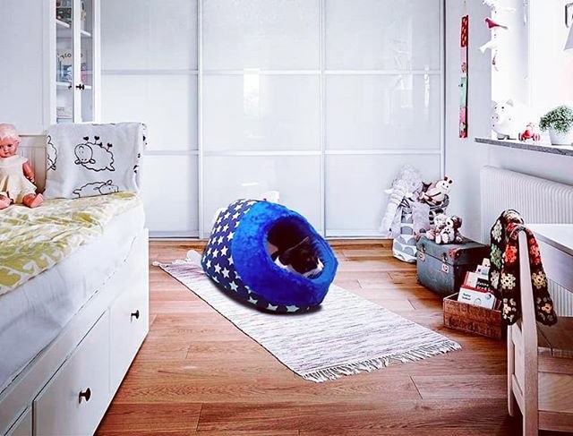 CUEVA CUNA MOISES NORDICO - MISTER HUESO