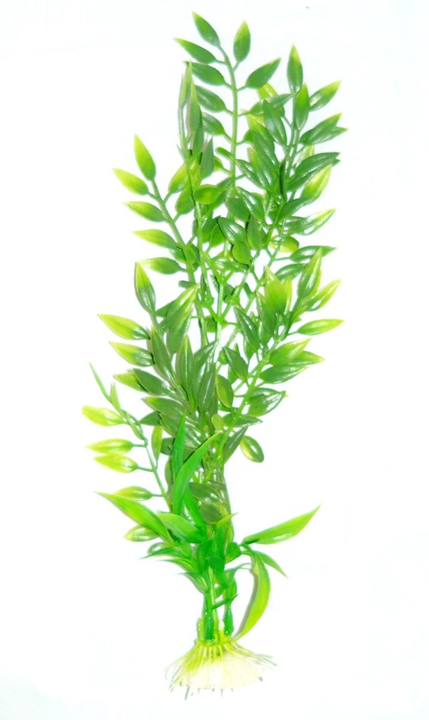 PLANTA PLASTICA SOBRE 15/17 CM (PLS01) - MILLEX