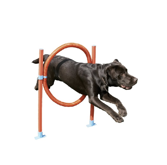 AGILITY HOOP JUMP - IMPORTADO